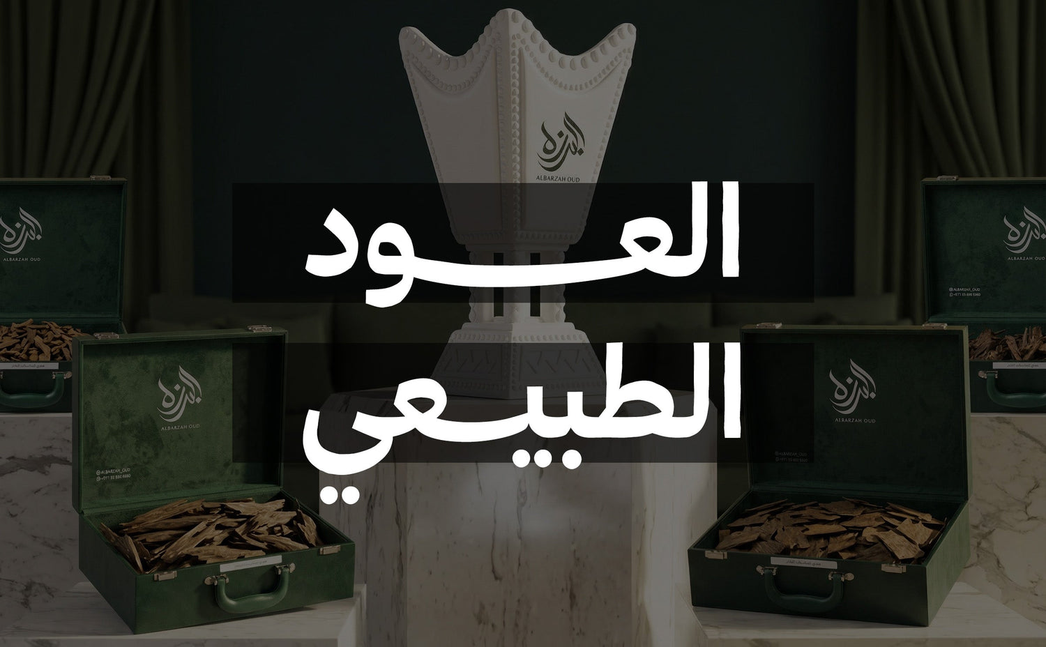 العود الطبيعي